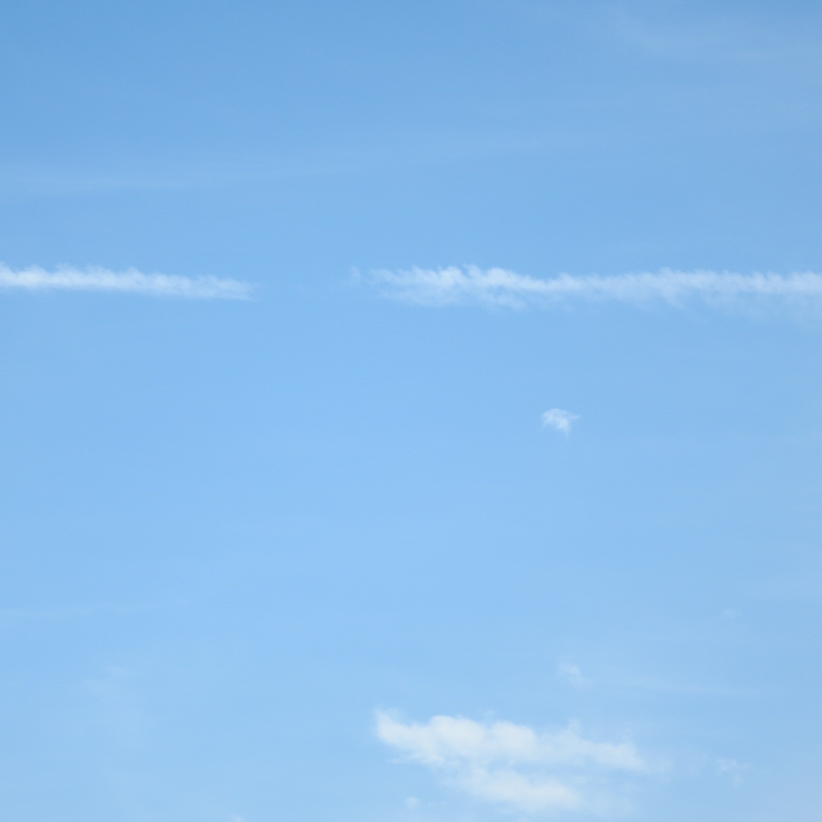 b0336384_21592141.jpg