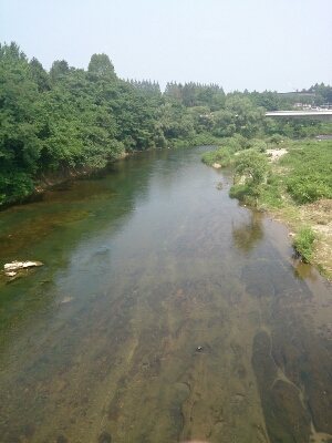 a0129586_13251355.jpg