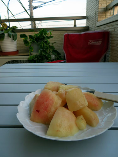 d0085887_21563970.jpg