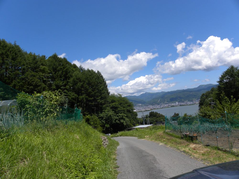 行峠の松_b0329588_15054697.jpg