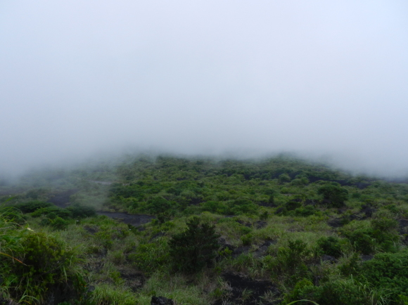 d0224990_19073487.jpg