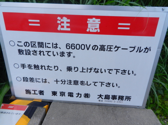 d0224990_19245145.jpg