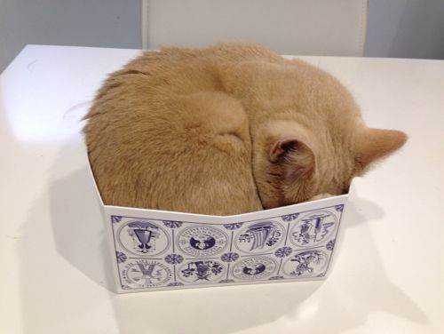 今日からまたBLOG再開します〜_c0108595_22391549.jpg