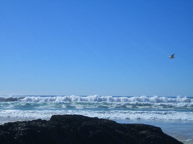 f0346196_06462978.png