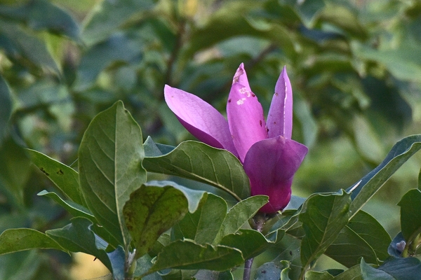 b0024798_9565599.jpg