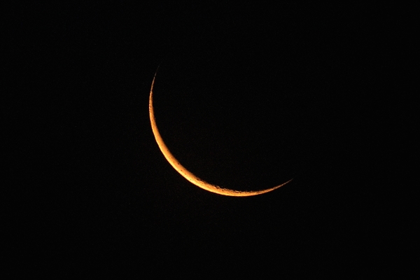 b0024798_9585314.jpg