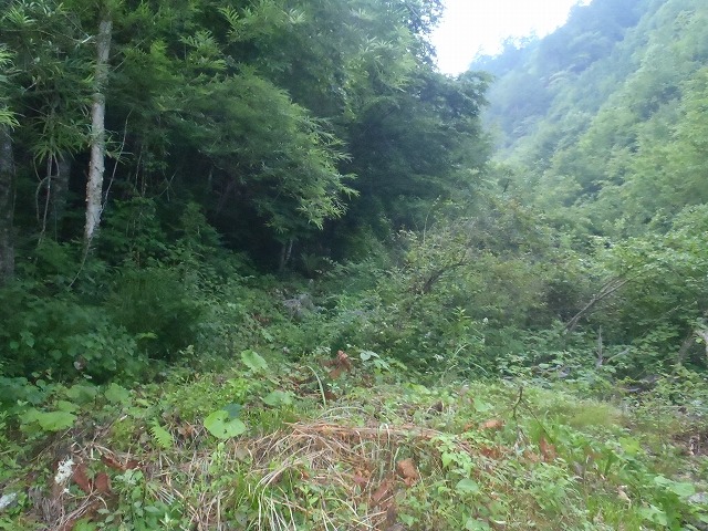 2号トレーニング!中ア 越百山~南駒~空木縦走へGo!(前篇)_c0147398_14434657.jpg