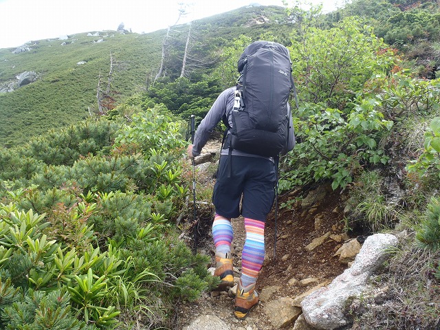 2号トレーニング!中ア 越百山~南駒~空木縦走へGo!(前篇)_c0147398_14585973.jpg