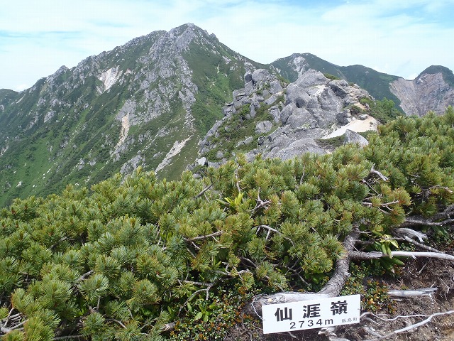 2号トレーニング!中ア 越百山~南駒~空木縦走へGo!(前篇)_c0147398_15102873.jpg