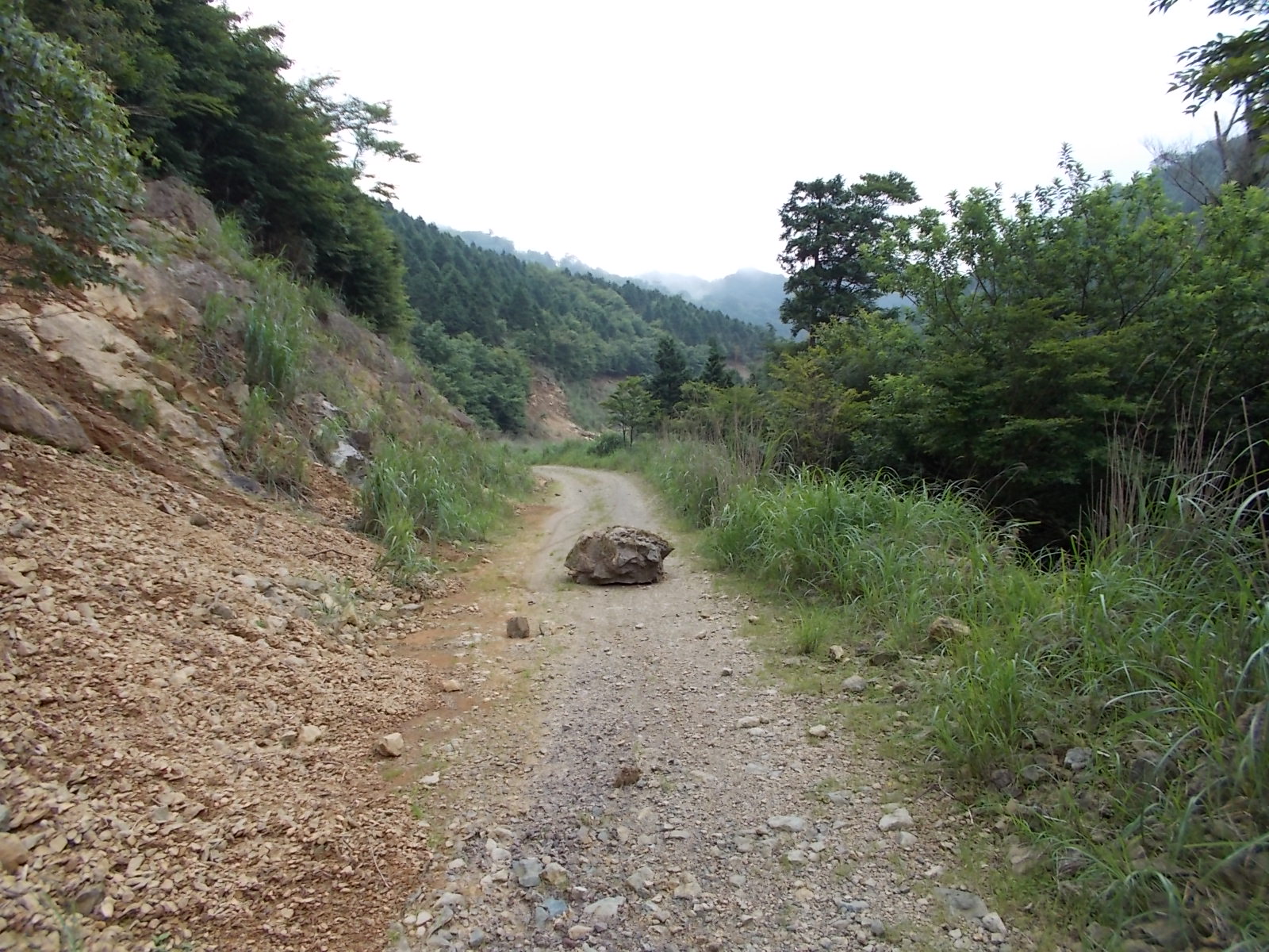 楮佐古小檜曽林道(香美市~大豊町) : 茶凡遊山記 楮佐古小檜曽林道(香美市~大豊町) : 茶凡遊山記