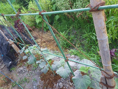 c0280206_94781.jpg