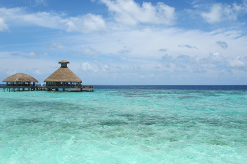d0298808_11565595.jpg