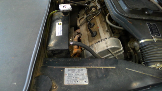 南イタリアのファイバーグラスの308GTB とGTBターボ_a0129711_1311883.jpg