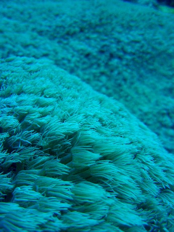 f0043911_01332.jpg