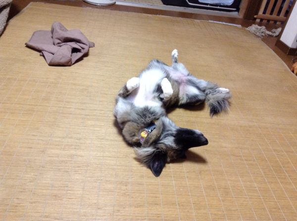 f0329311_11181359.jpg