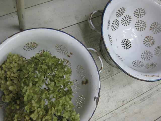 c0085916_17292349.jpg