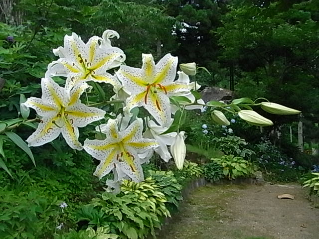 f0341616_67728.jpg