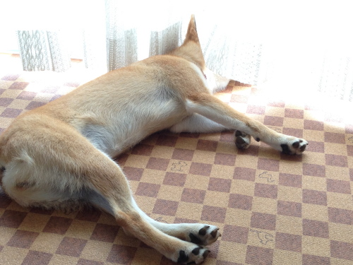 f0337623_01015072.jpg