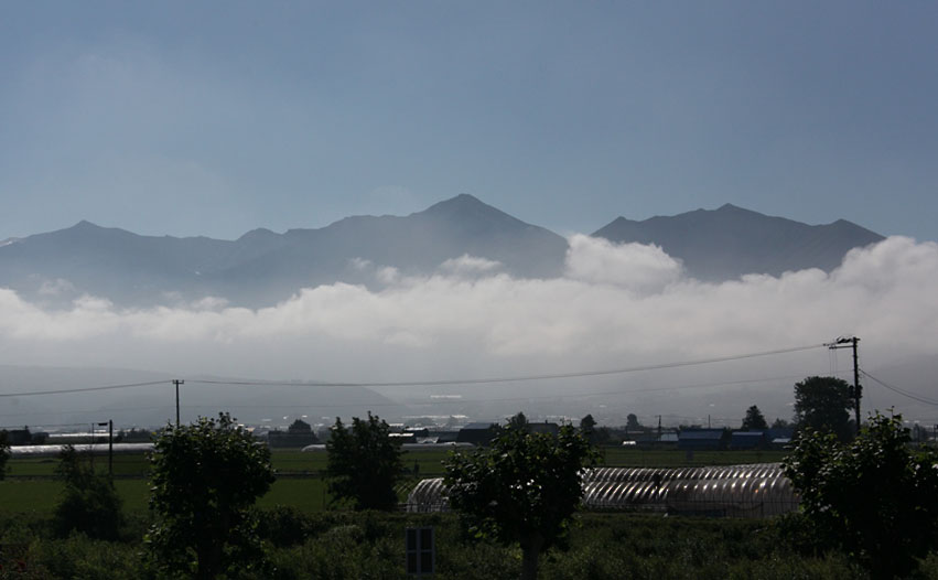 夏の北海道旅行 空知郡中富良野町「ファーム富田」編_d0106628_11022944.jpg