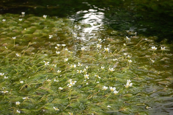 b0097729_0394582.jpg