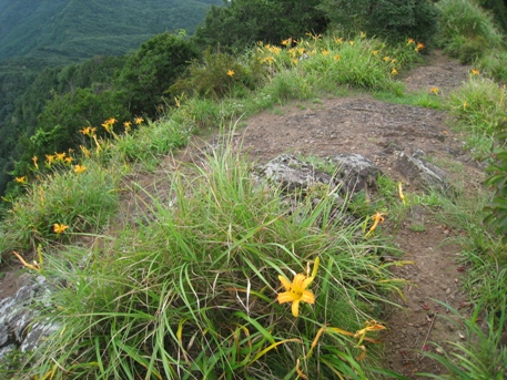 長崎県　平戸　志々伎山（３４７ｍ）、根獅子海水浴場、チャンポン_c0077338_5531038.jpg