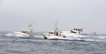 浜松BFT 結果は・・・【カジキ・マグロトローリング】_f0009039_09340408.jpg