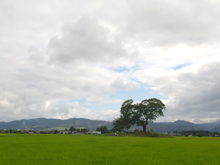a0014840_72208.jpg