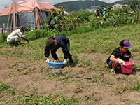 a0137240_961925.jpg