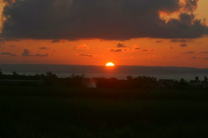 b0288942_84343100.jpg