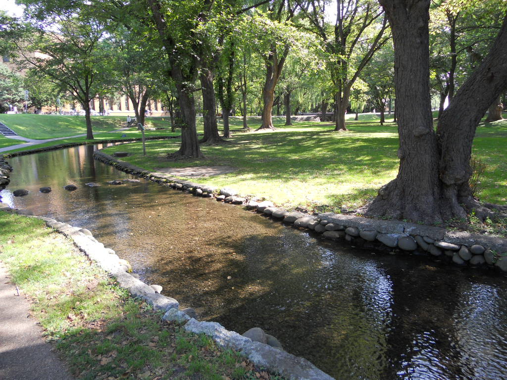e0300042_2224259.jpg