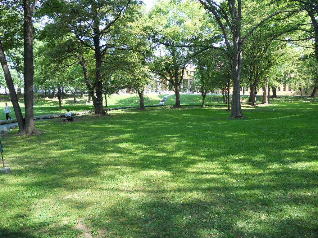 e0300042_22244665.jpg
