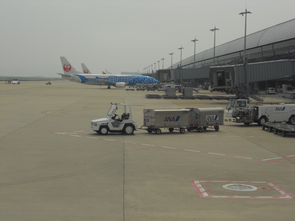 e0300042_22301040.jpg