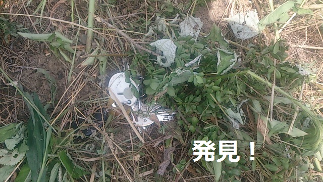 c0174644_2421431.jpg