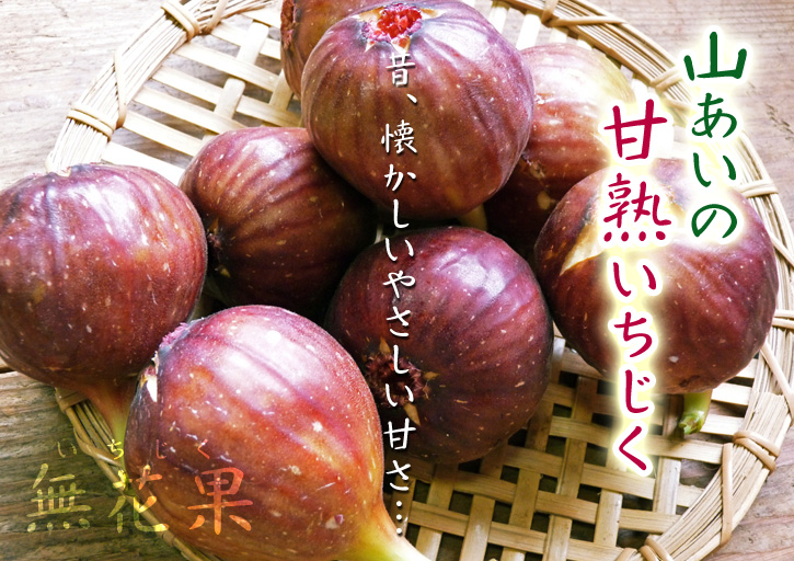 甘熟いちじく　平成26年度発送日決定！＆先行予約受付スタート!!_a0254656_181322.jpg