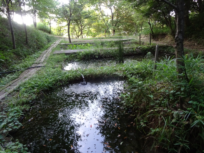 c0108460_00154944.jpg