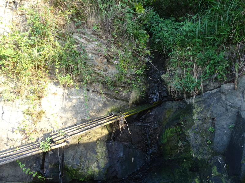 c0108460_00155176.jpg
