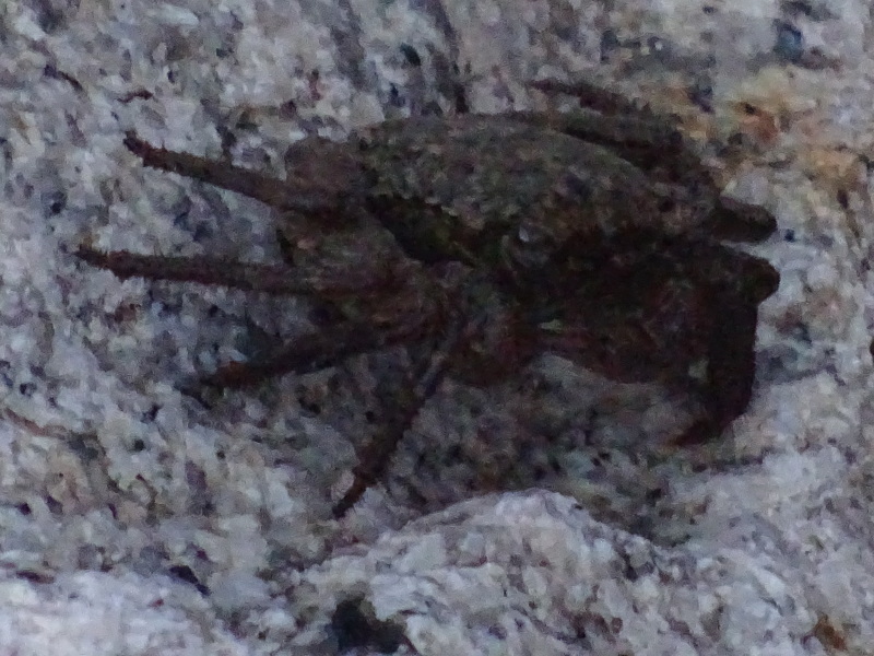c0108460_00193269.jpg