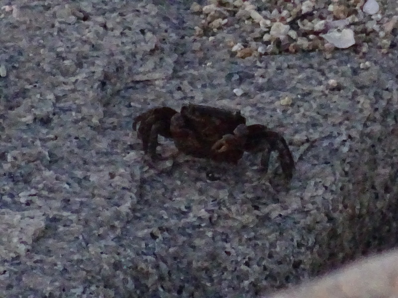 c0108460_00193342.jpg