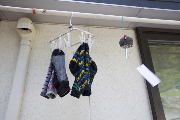 こどもに裏返った洗濯物を100 表に返させる方法 笑 Peddyのくまちゃん カメラを持って こどもに裏返った洗濯物を100 表に返させる方法 笑 Peddyのくまちゃん カメラを持って