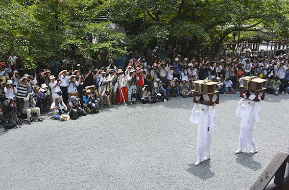 阿蘇御田祭_f0143469_16125521.jpg
