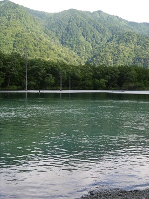 a0219573_21583337.jpg