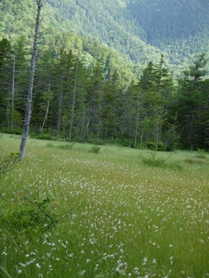 a0219573_22232838.jpg