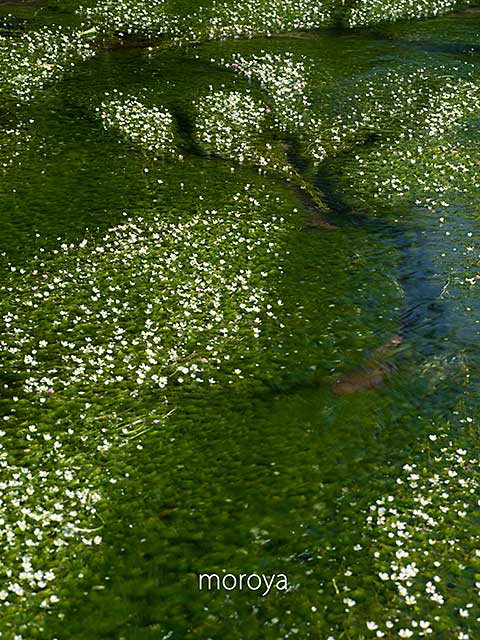 JNP石川支部撮影会〜福井県_c0085877_764640.jpg