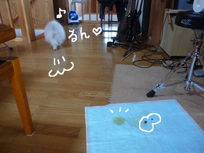 d0129083_15311793.jpg