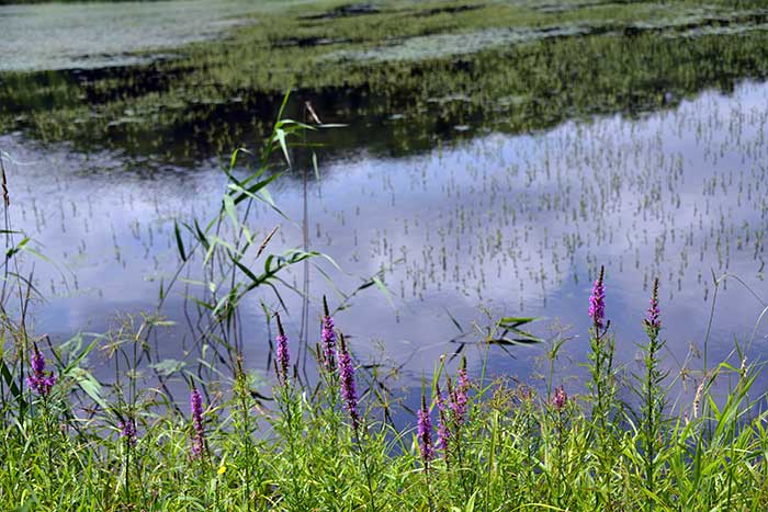 f0212586_74522.jpg