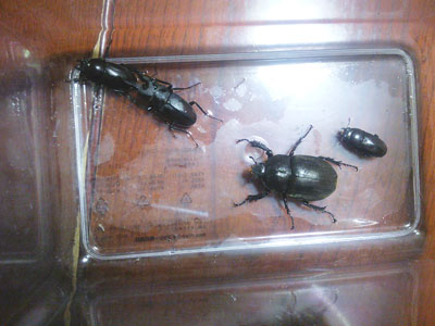 f0082402_23212890.jpg
