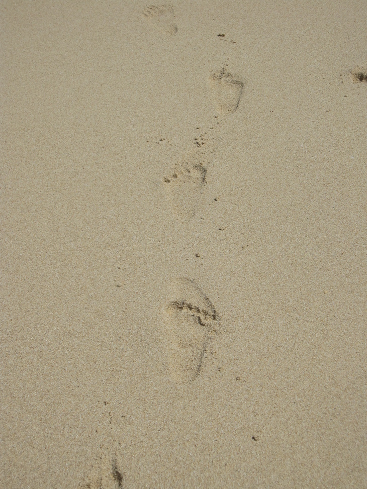 d0076603_1432762.jpg