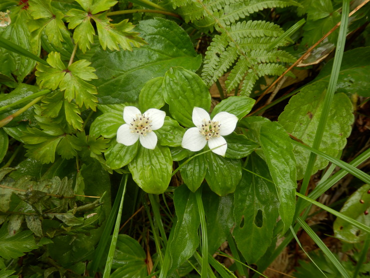f0219710_844385.jpg