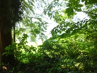 f0357714_18380975.jpg