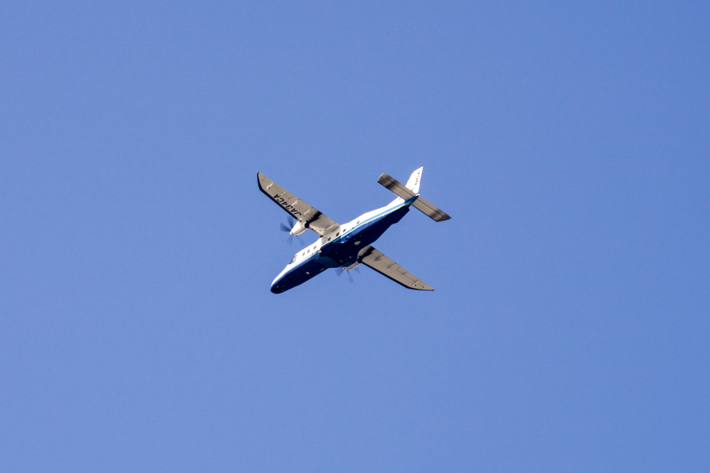 d0192516_16283000.jpg